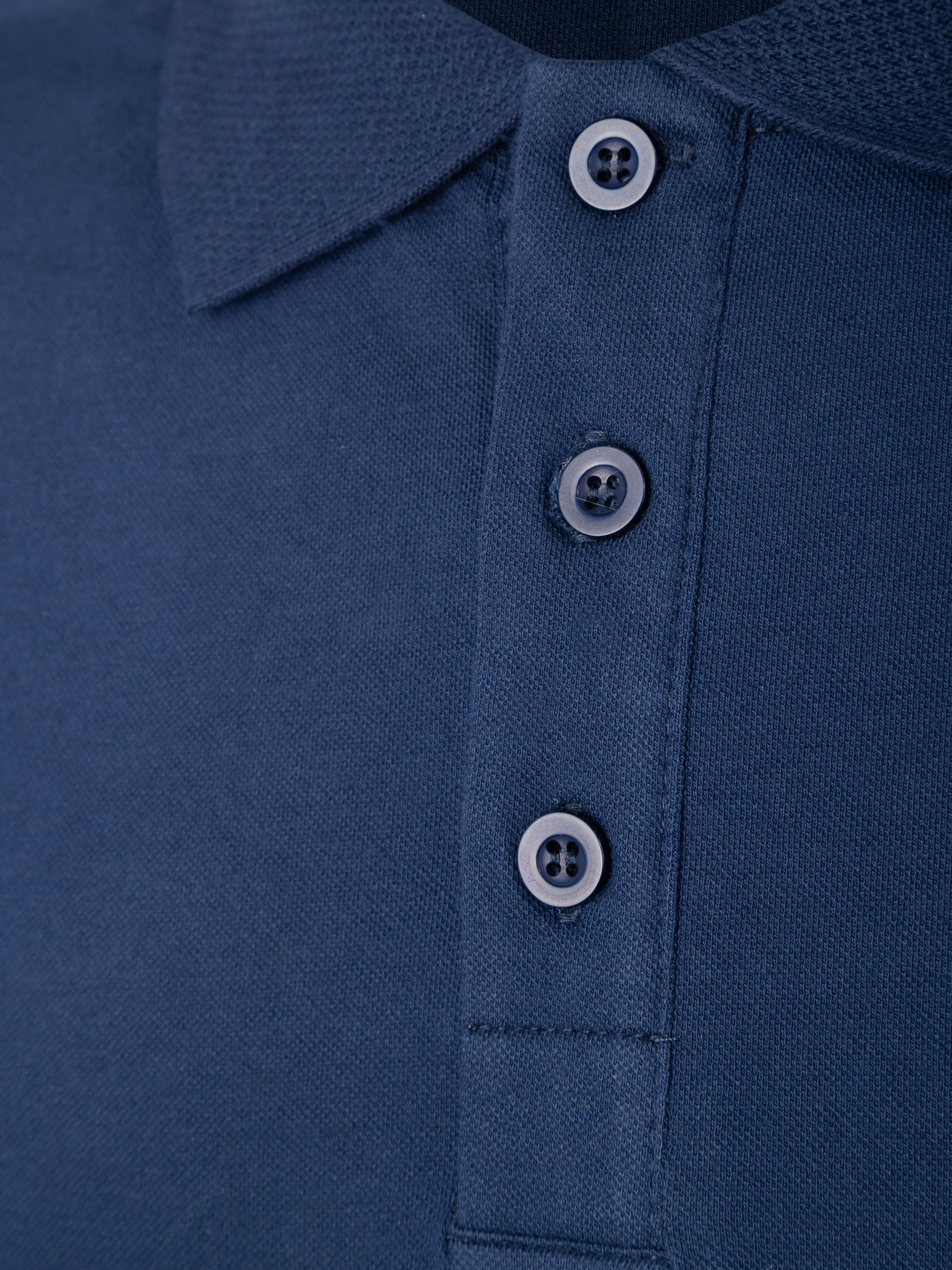 Black Bears Classic Comfort Polo Yaka Tişört